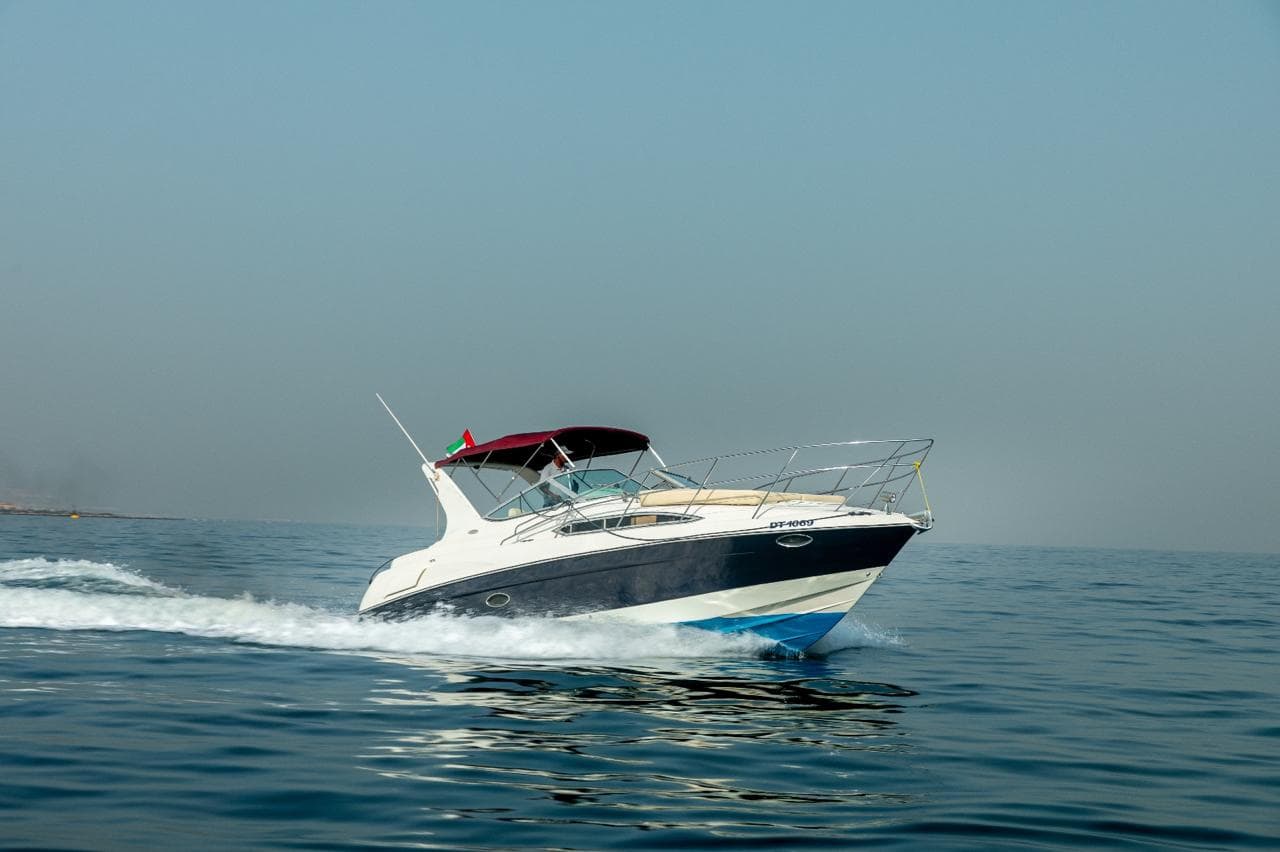 33ft Regal — yacht rental listing in Dubai Marina