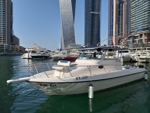 Luxury 33ft Yacht Rental Dubai Marina